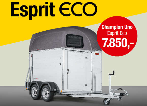 Champion Uno Esprit Eco